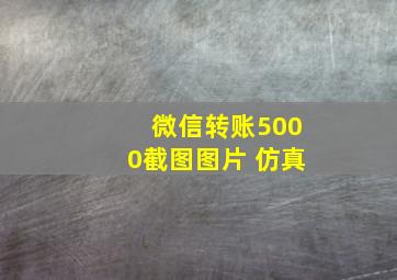 微信转账5000截图图片 仿真